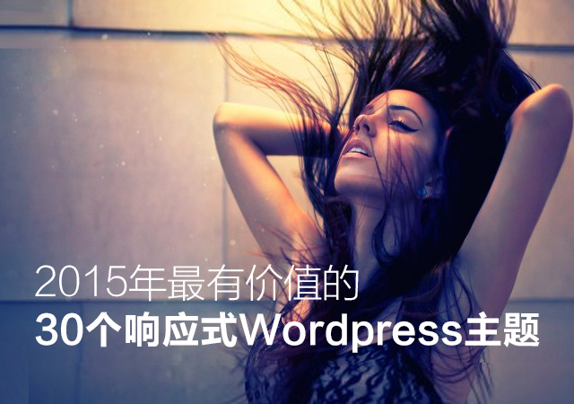 30個響應(yīng)式WORDPRESS主題